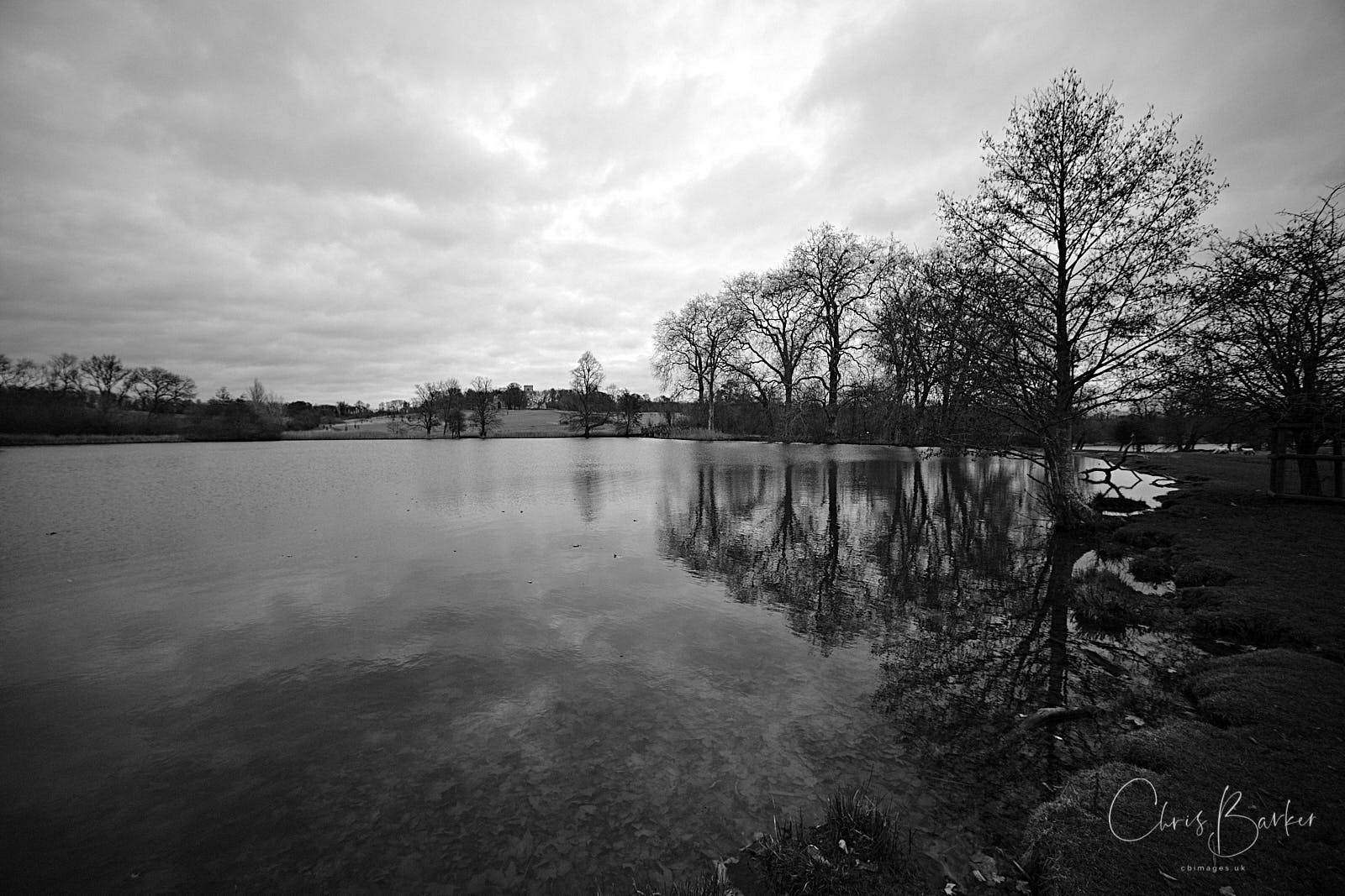 Pond reflecting the sky and trees